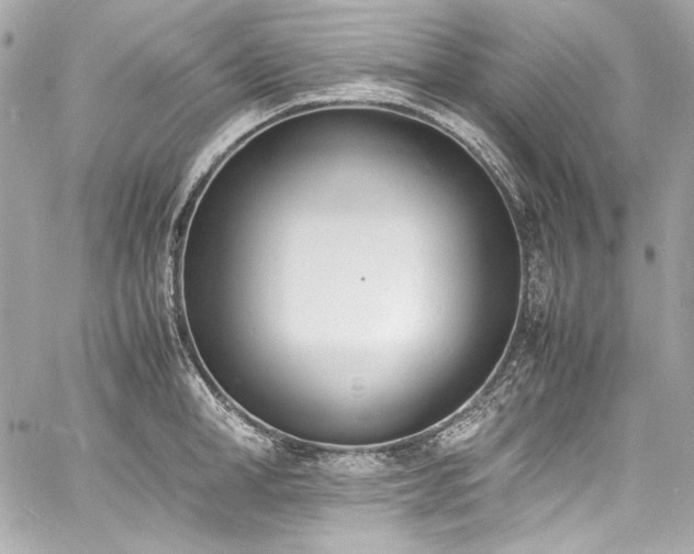 X0000060800998200511101414