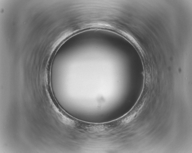 X0000060800999200511101414