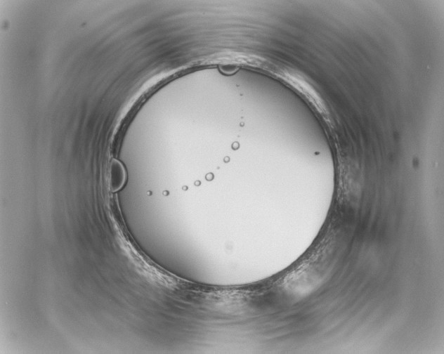 X0000060801000200511101414