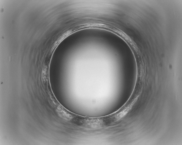 X0000060801001200511101414