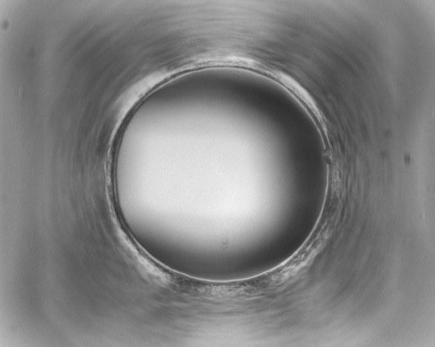 X0000060801005200511101414