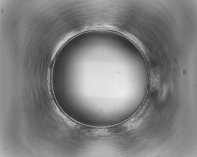 X0000060801006200511101414