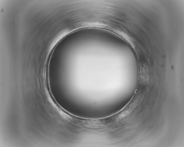 X0000060801007200511101414