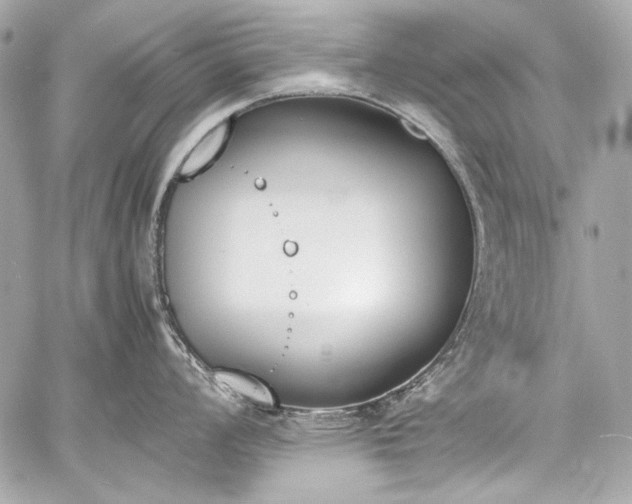 X0000060801008200511101414