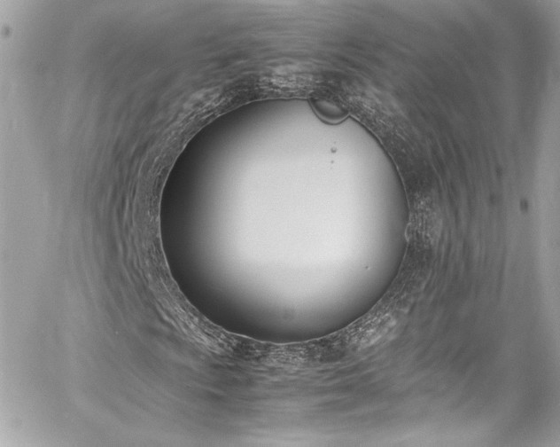 X0000060801009200511101413