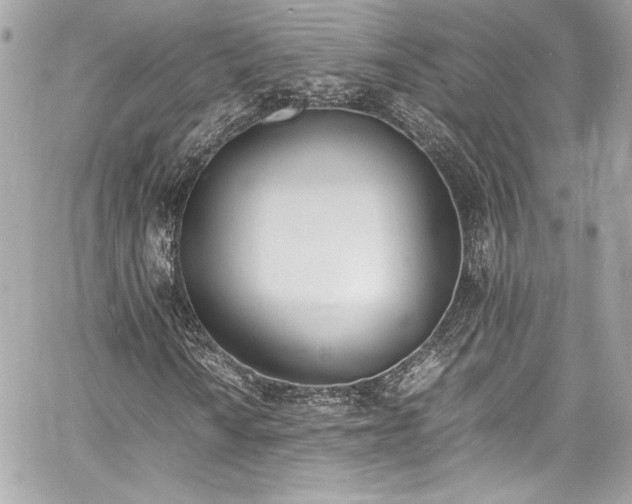 X0000060801010200511101413