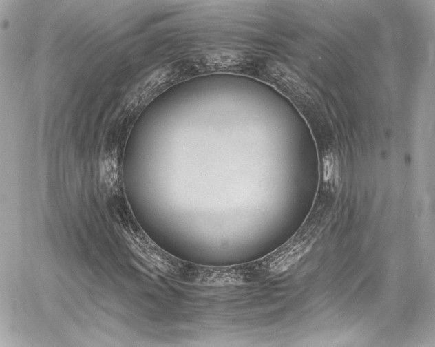 X0000060801011200511101413