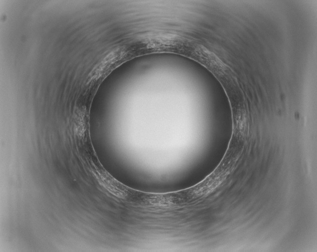 X0000060801012200511101413