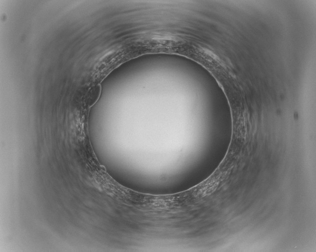 X0000060801013200511101413