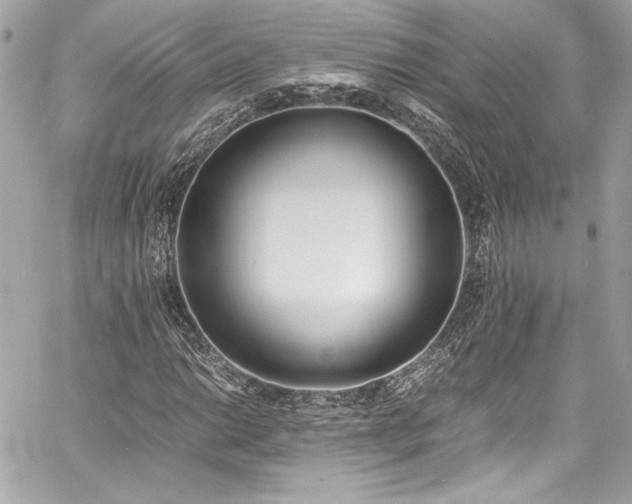 X0000060801014200511101413