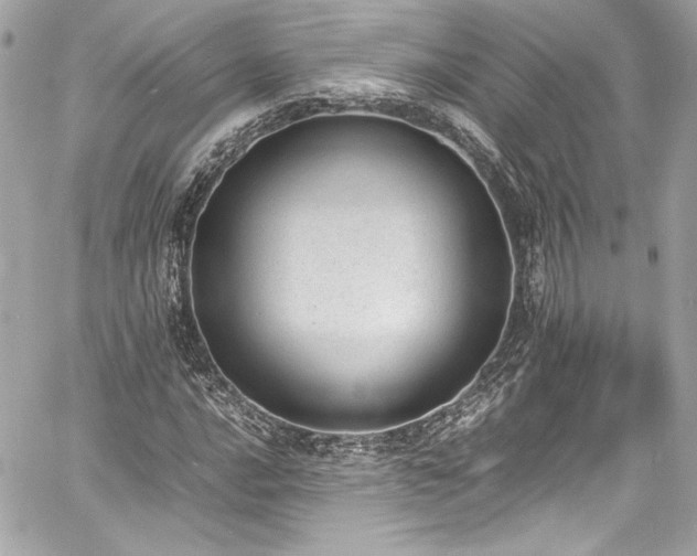 X0000060801016200511101413