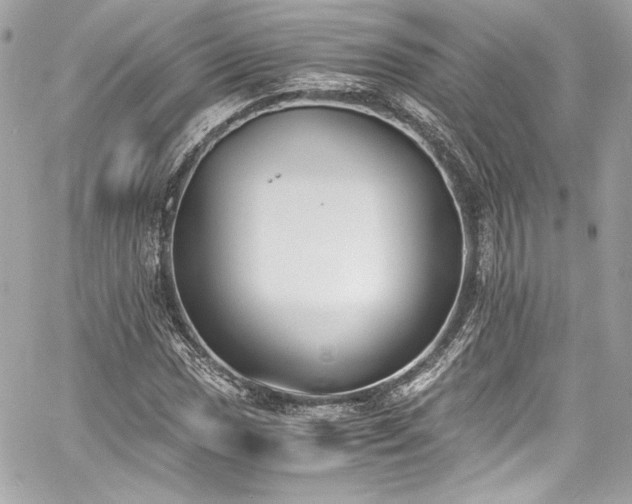 X0000060801017200511101413