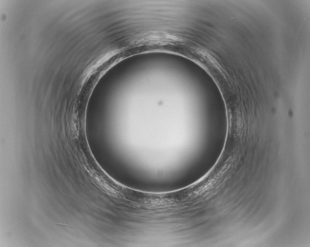 X0000060801018200511101413