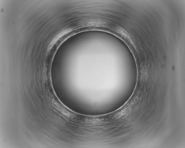 X0000060801019200511101413