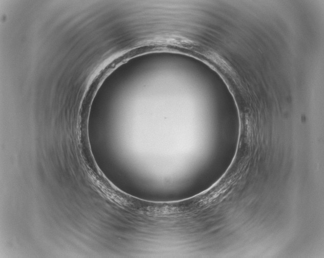 X0000060801020200511101413