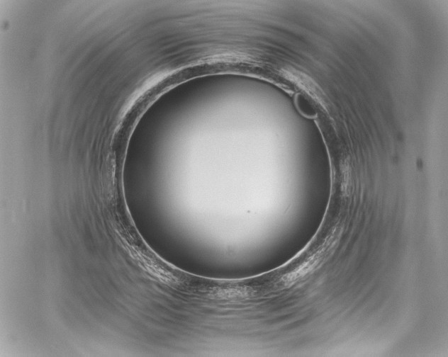 X0000060801021200511101413