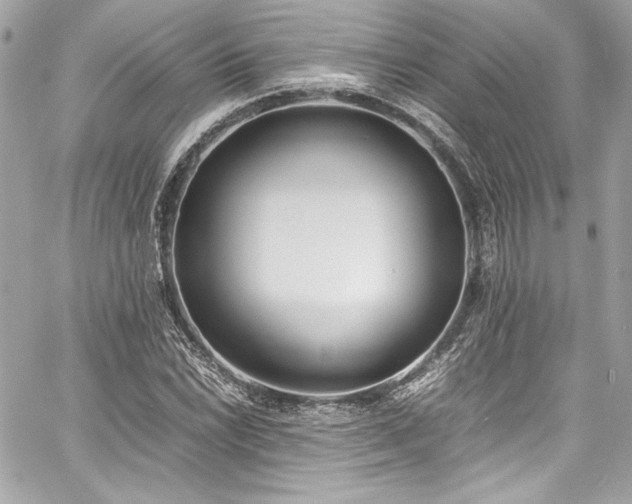 X0000060801022200511101413