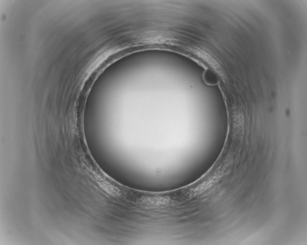 X0000060801023200511101413