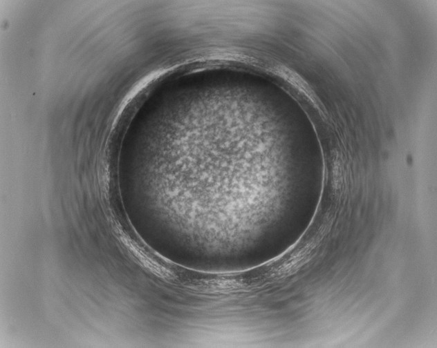 X0000060801024200511101413