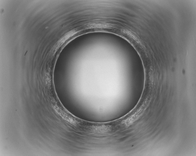 X0000060801025200511101413