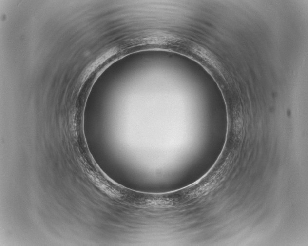 X0000060801026200511101413