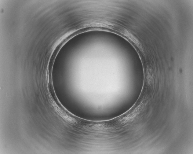 X0000060801028200511101413