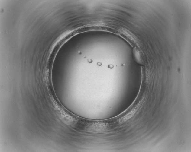 X0000060801029200511101413