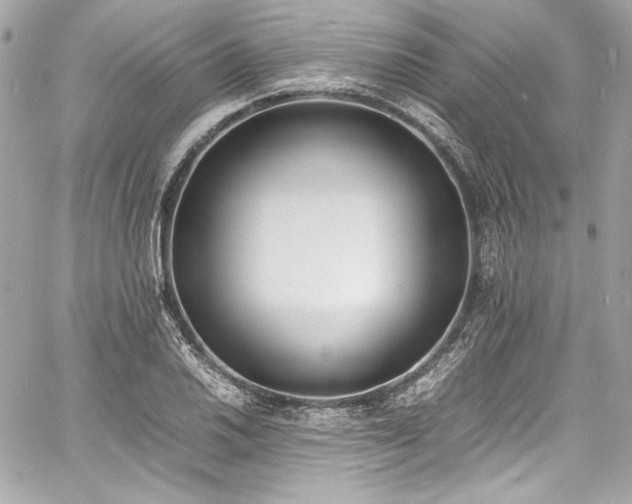 X0000060801030200511101413