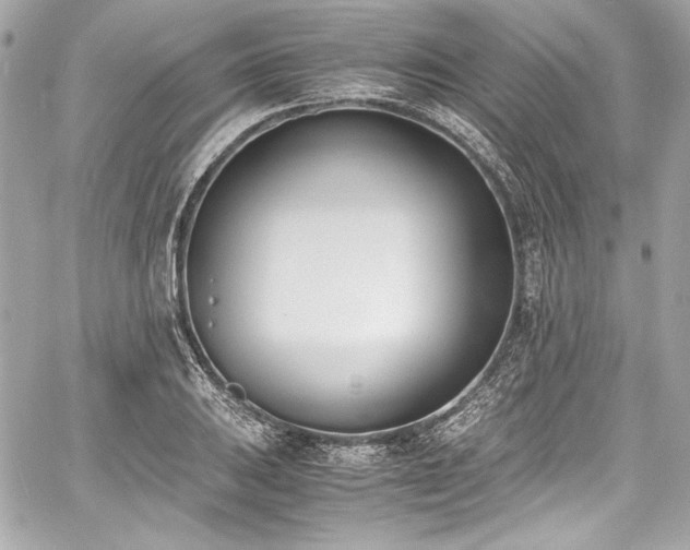 X0000060801031200511101414