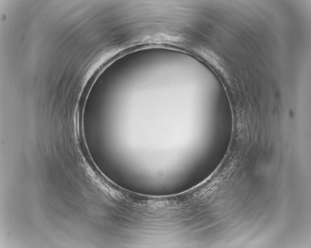 X0000060801032200511101414