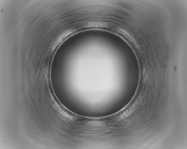 X0000060801033200511101414