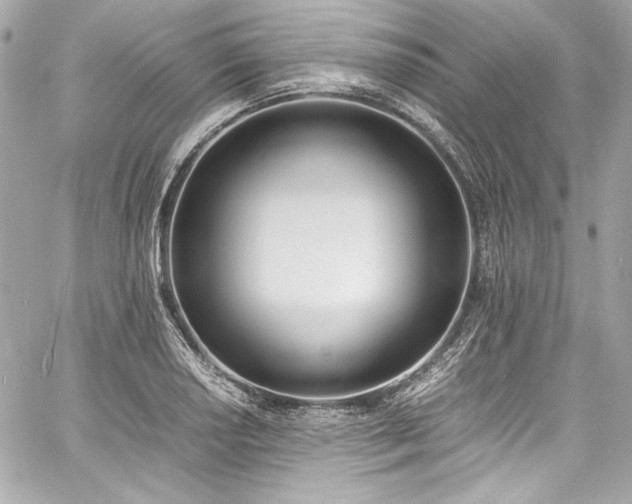 X0000060801034200511101414