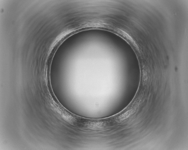 X0000060801035200511101414