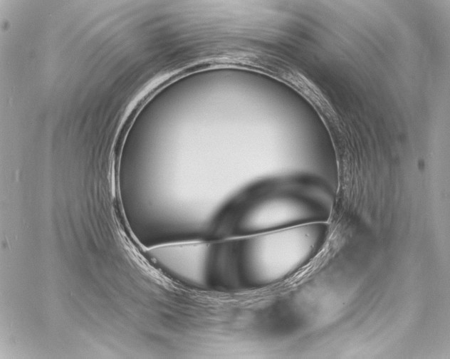 X0000060801036200511101414