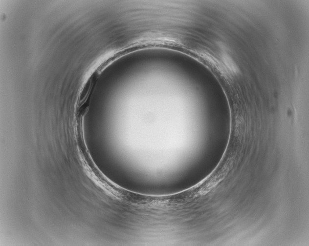 X0000060801038200511101414