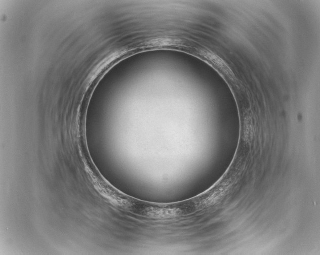 X0000060801039200511101414