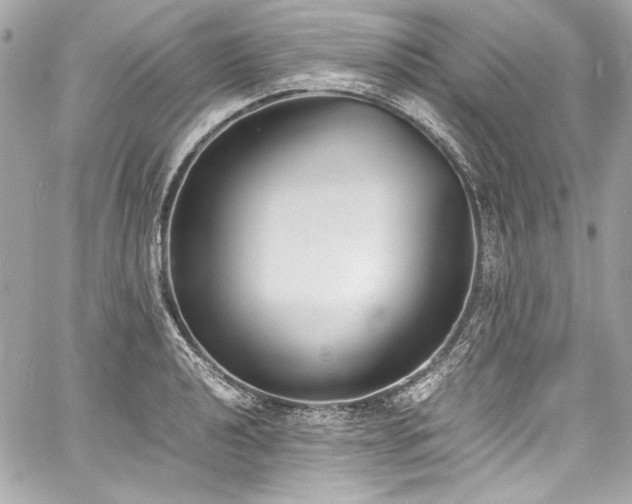 X0000060801040200511101414