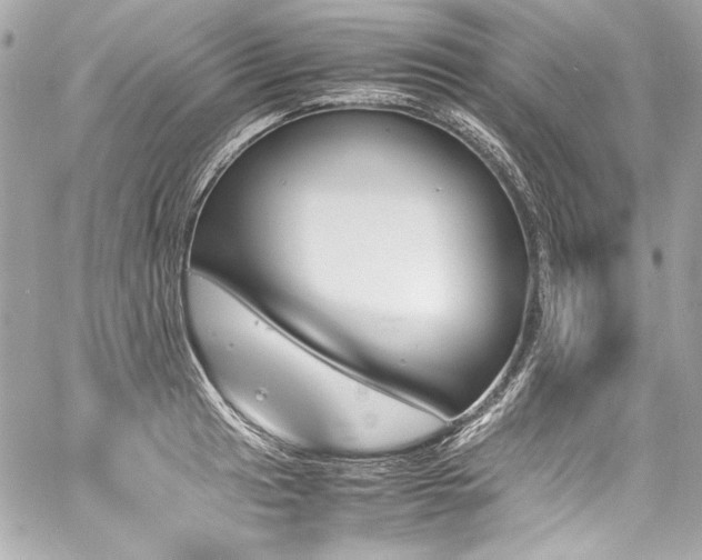 X0000060801041200511101414