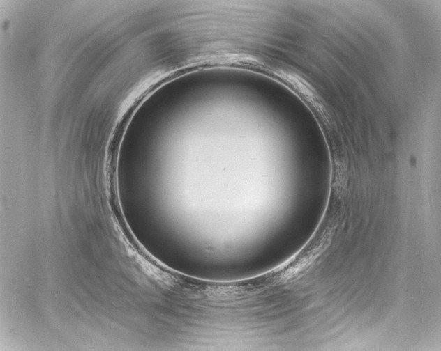 X0000060801046200511101414