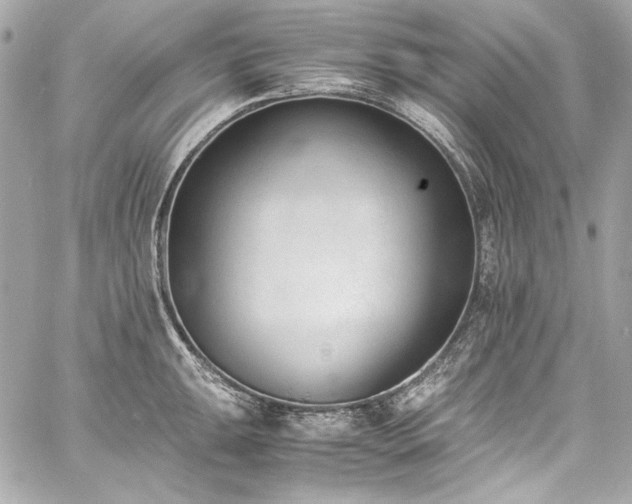 X0000060801047200511101414