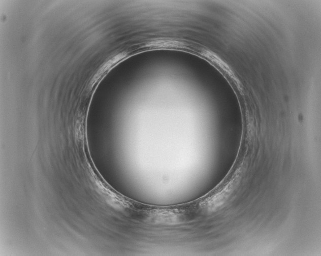 X0000060801049200511101414