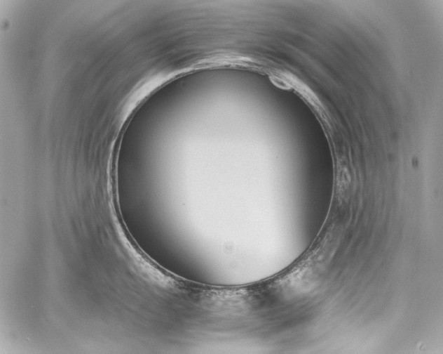 X0000060801055200511101414