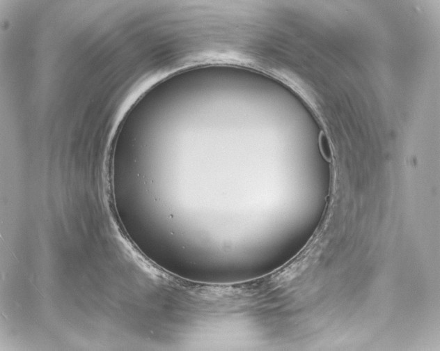 X0000060801056200511101414