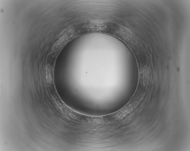 X0000060801058200511101413