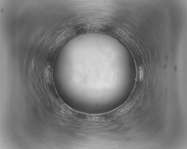 X0000060801059200511101413