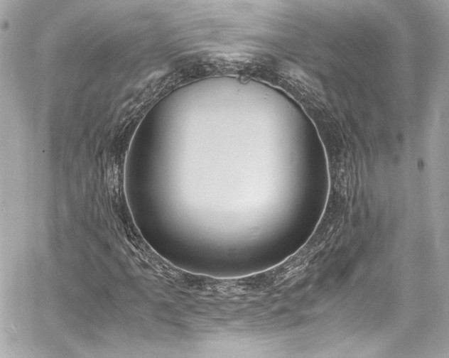 X0000060801061200511101413