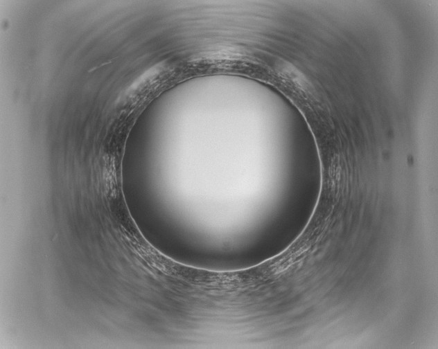 X0000060801062200511101413