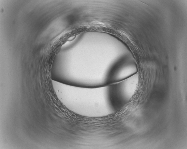 X0000060801063200511101413