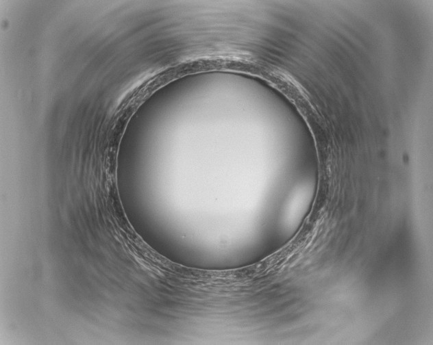 X0000060801064200511101413