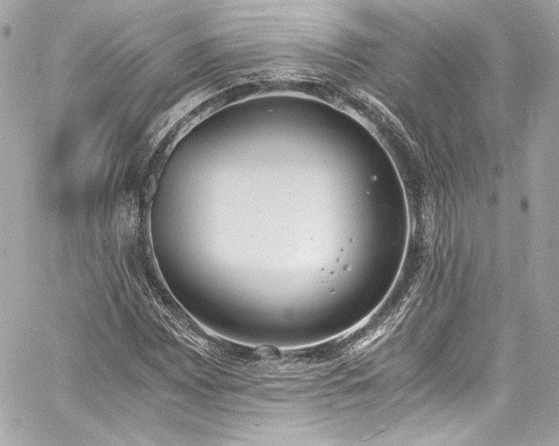 X0000060801065200511101413